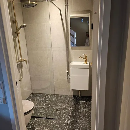 Full Privacy Townhome In With Wifi Lejlighed Oslo