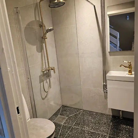 Full Privacy Townhome In With Wifi Lejlighed Oslo
